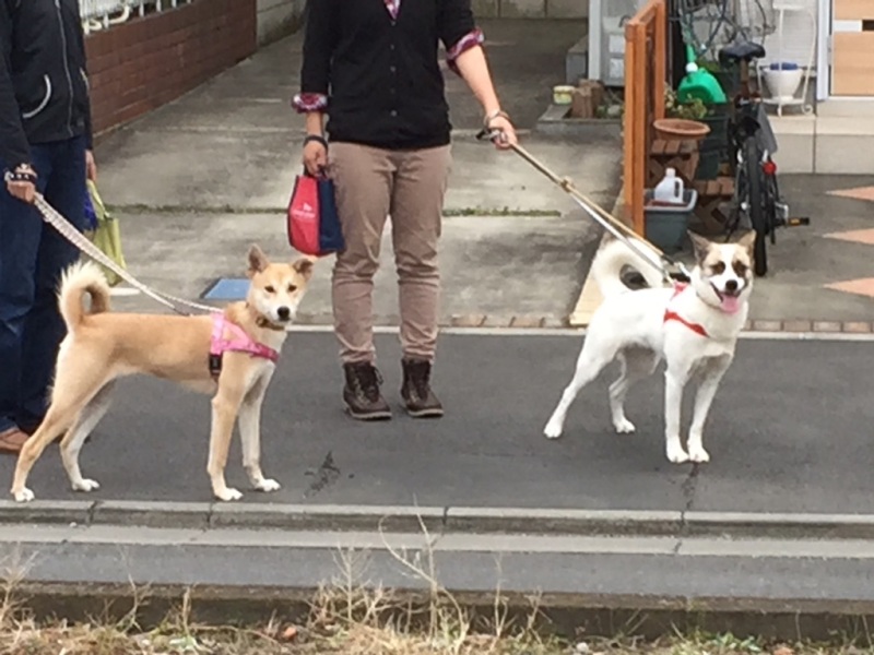 ボランティア募集:写真1